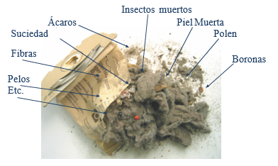 Los ácaros del polvo eluden las aspiradoras de Alta Gama. – Instituto de  Investigación Ambiental